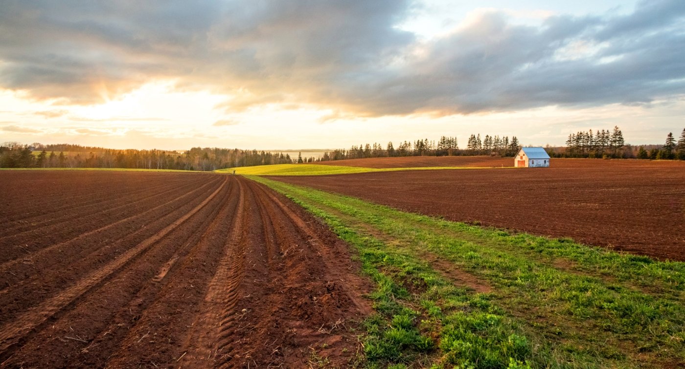 Belfast, fields, sunset Belfast, fields, sunset