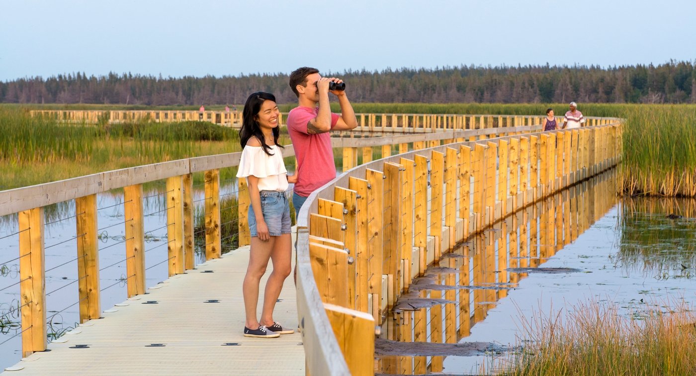 Greenwich, PEI National Park, boardwalk, couples, binoculars, water