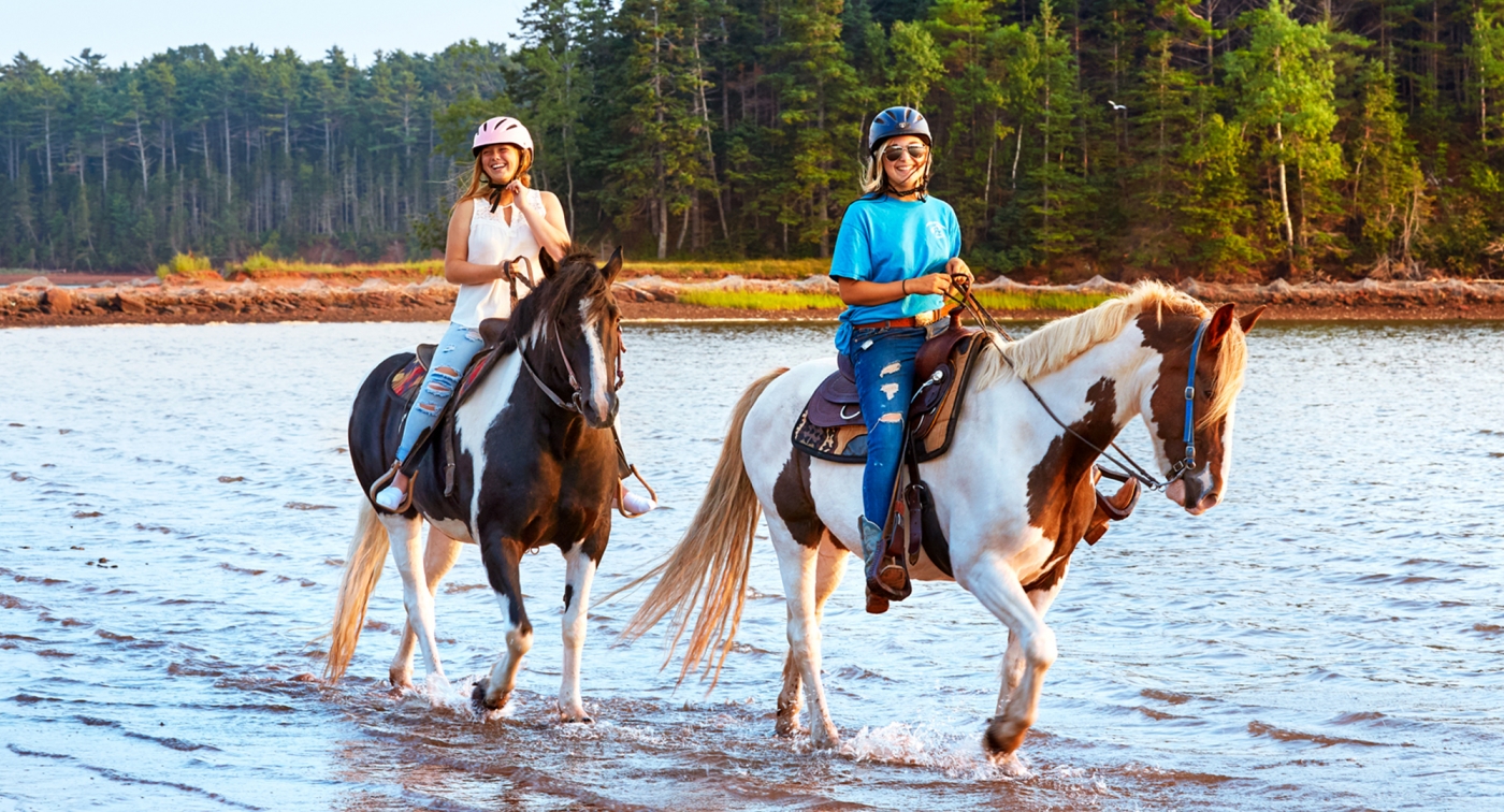 Brudenell Trail Rides, two horses