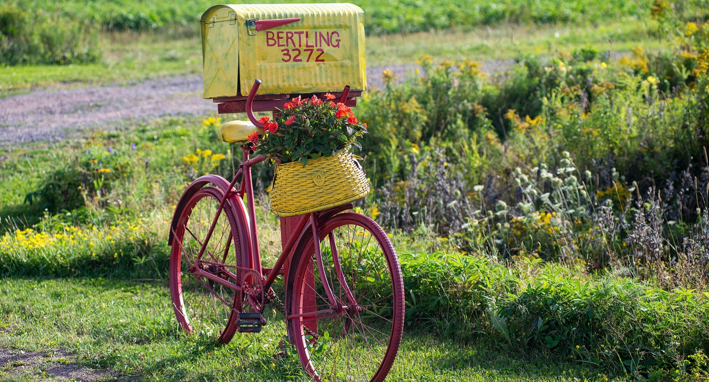 Baldwin Road, mailbox, bike, flowers
