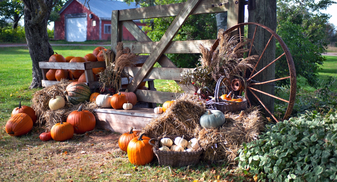 Fall, Marshfield Toad Hill, pumpkins, wheel, hay
