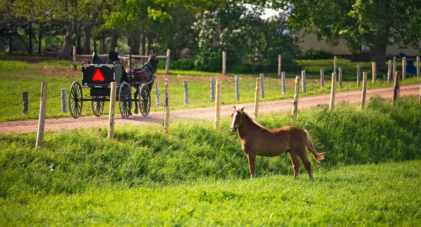 New-Perth, Amish, carriage, horse, dirt road 