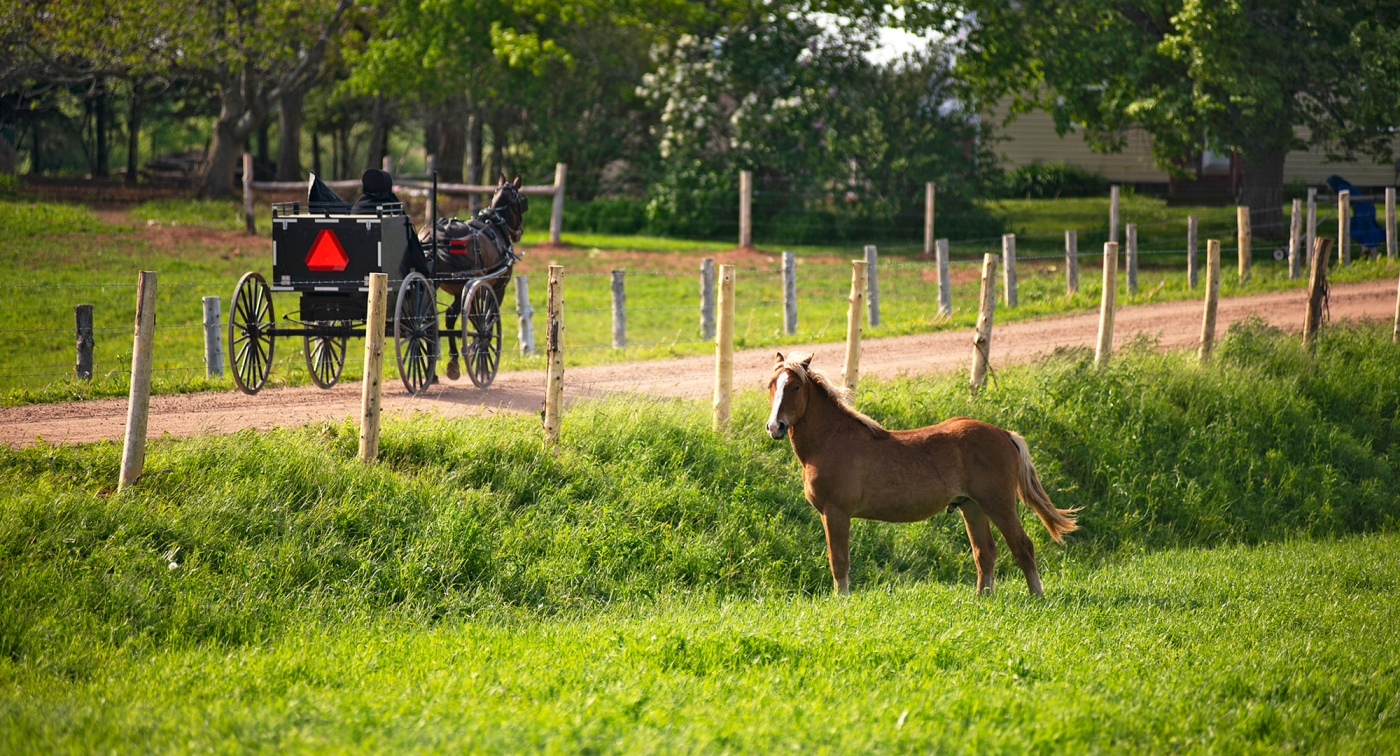 New-Perth, Amish, carriage, horse, dirt road 