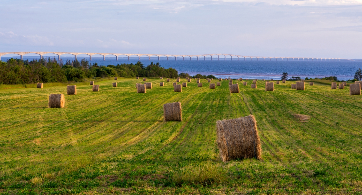 Confederation Bridge, field, hay, hay bales, sky