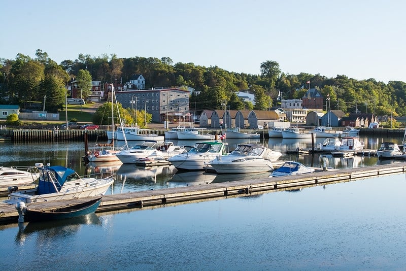View of Montague waterfront in summer with marina in foreground