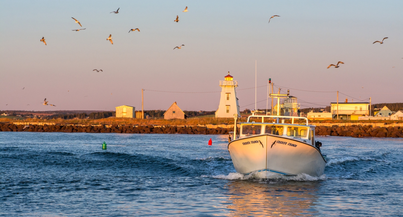 North Rustico, ocean, boat, seagulls, sunset