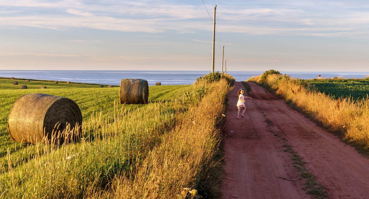 Field, Hay, grass, scenic, road