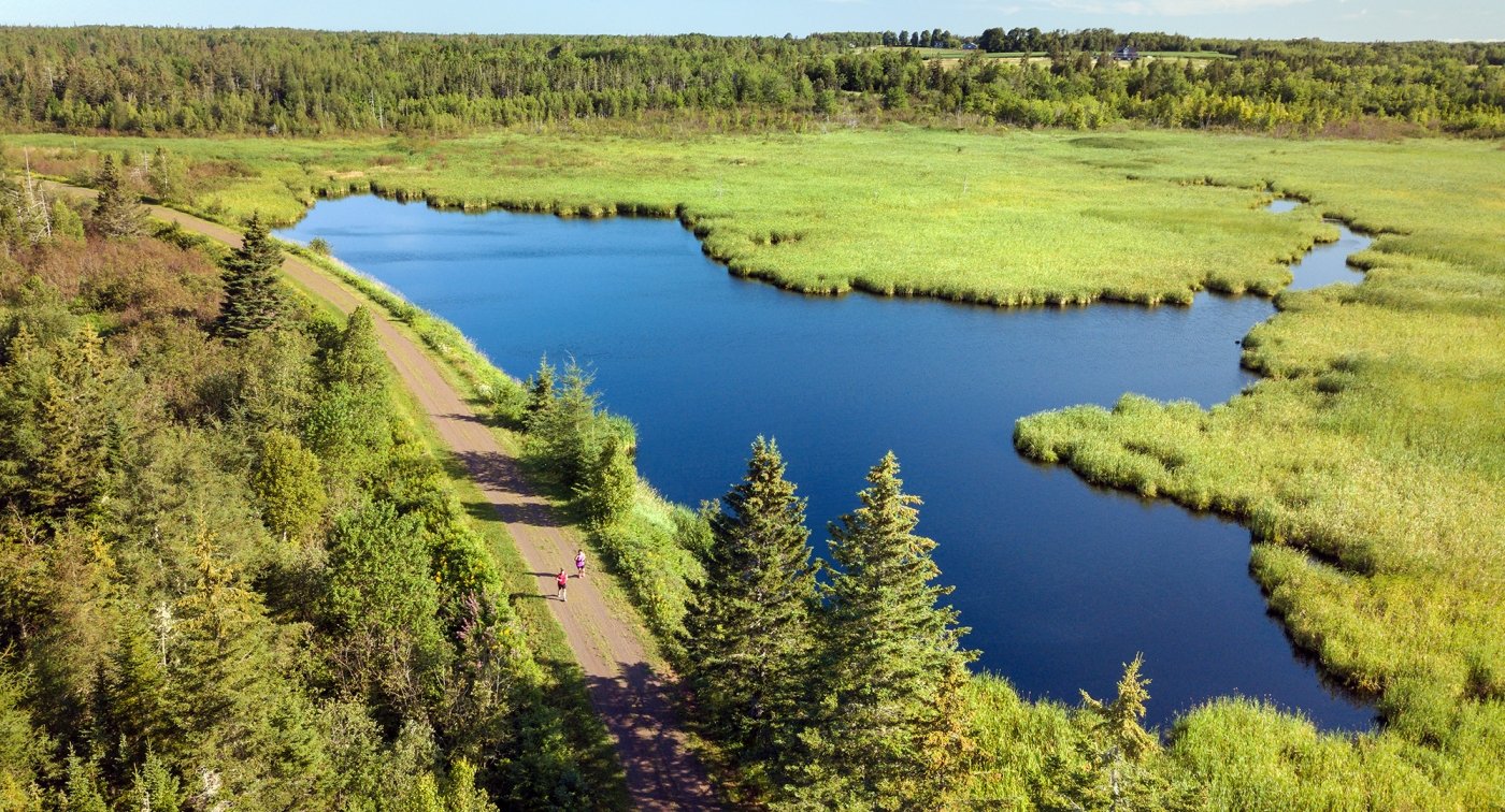 Confederation Trail, Hermitage, lake, trees, road