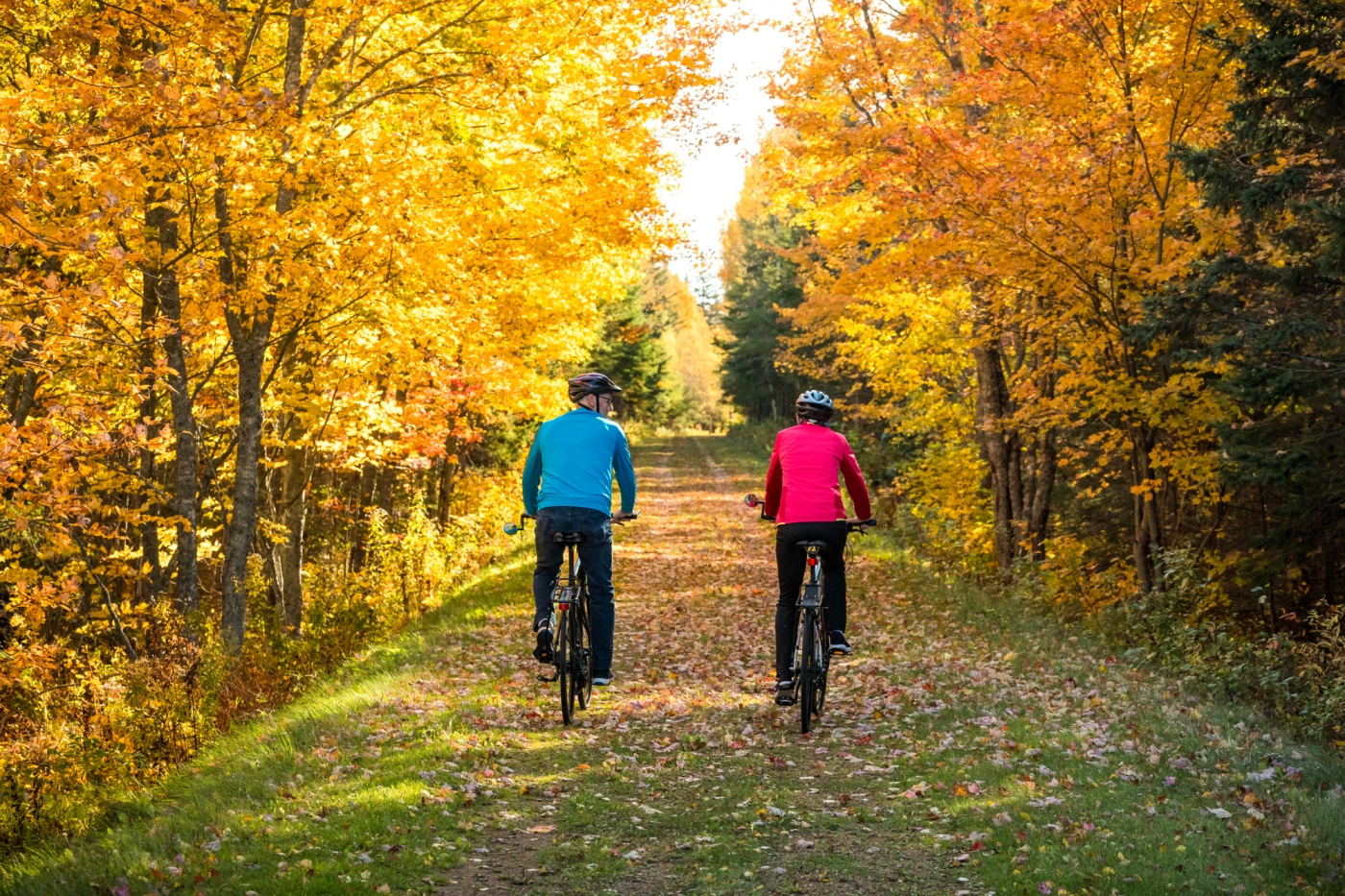Duo cycling on Confederation Trail under fall foliage