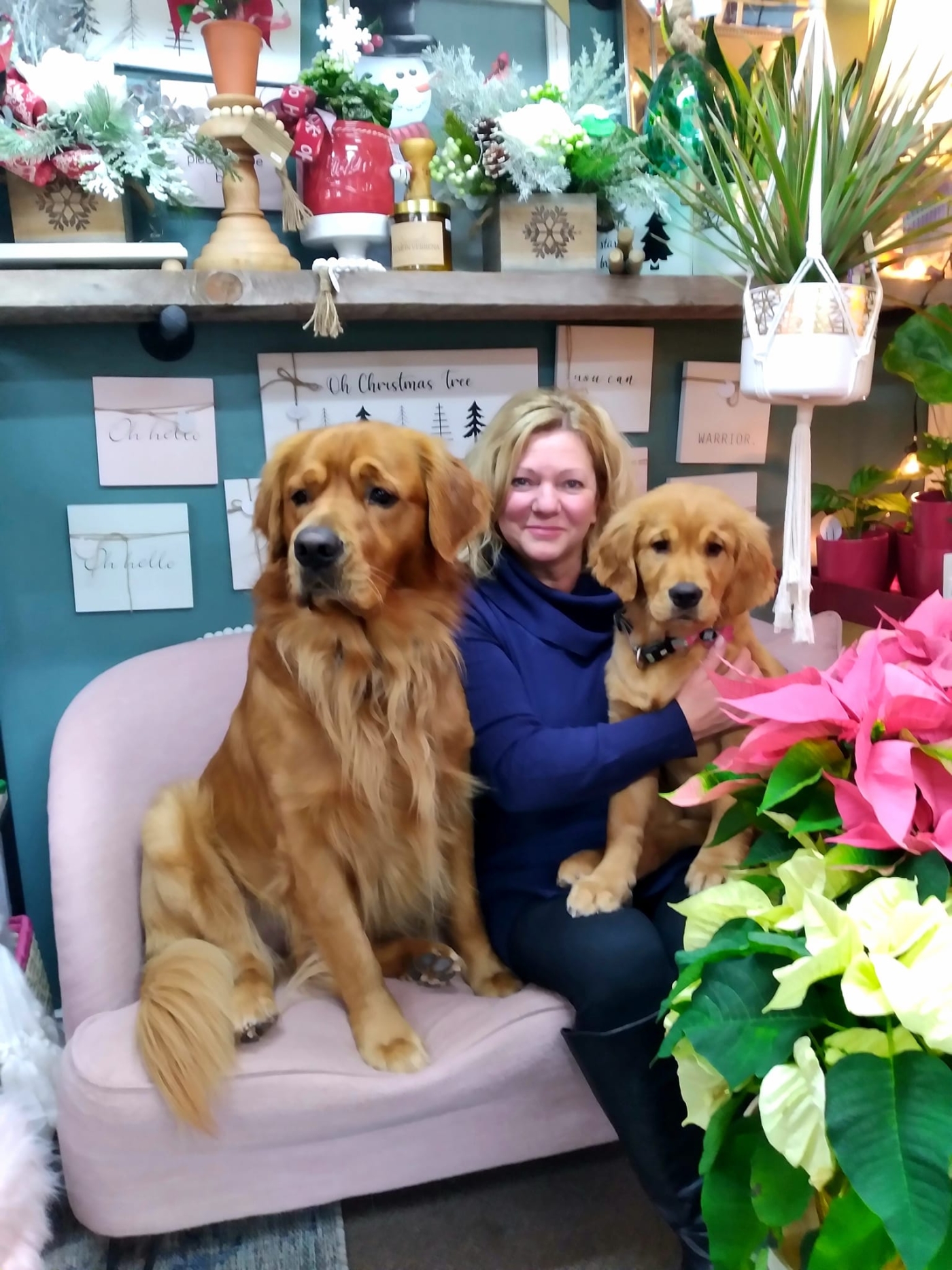 Sharon and her dogs, John Denver & Norma Jean, sit together in the flower shop