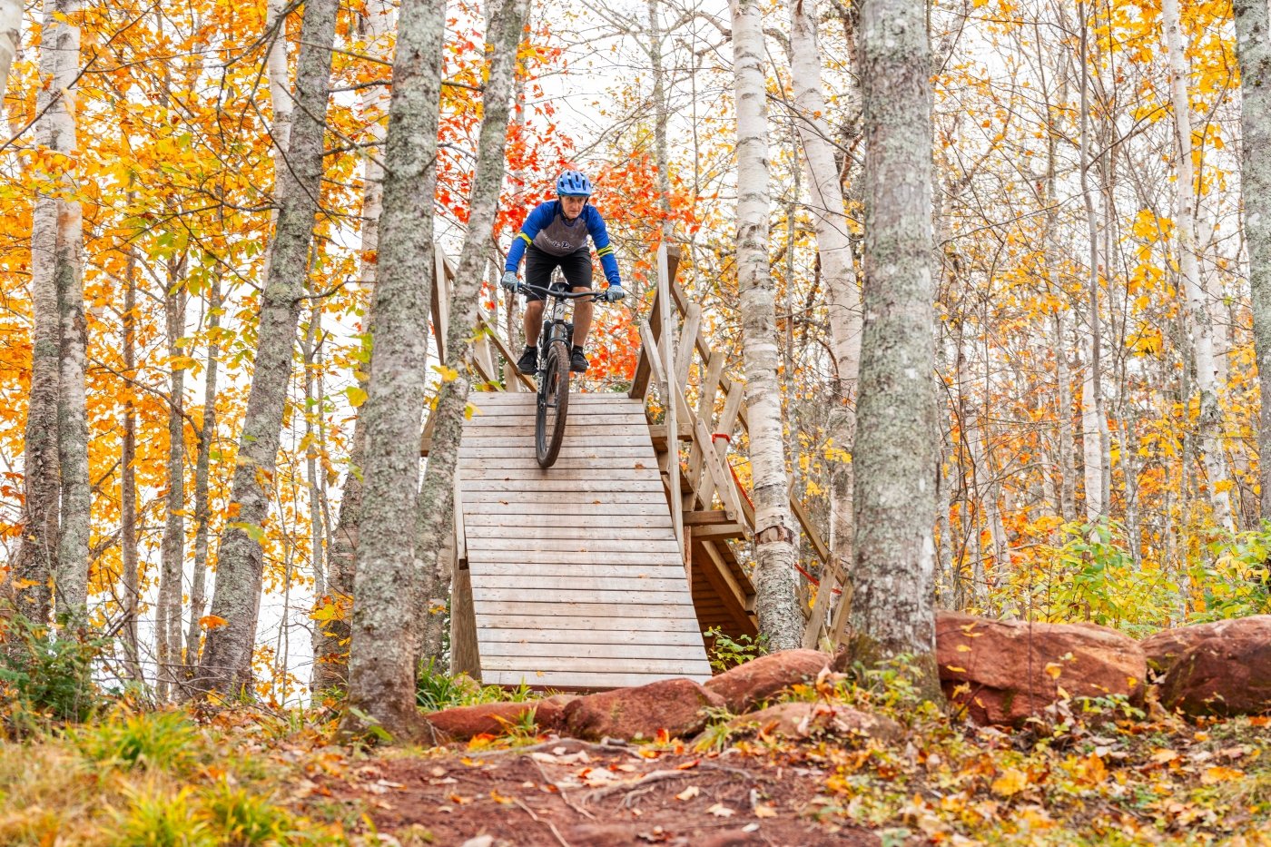 Dark Side Trail at Brookvale Cyclist comes down ramp on the Dark Side Trail at Brookvale