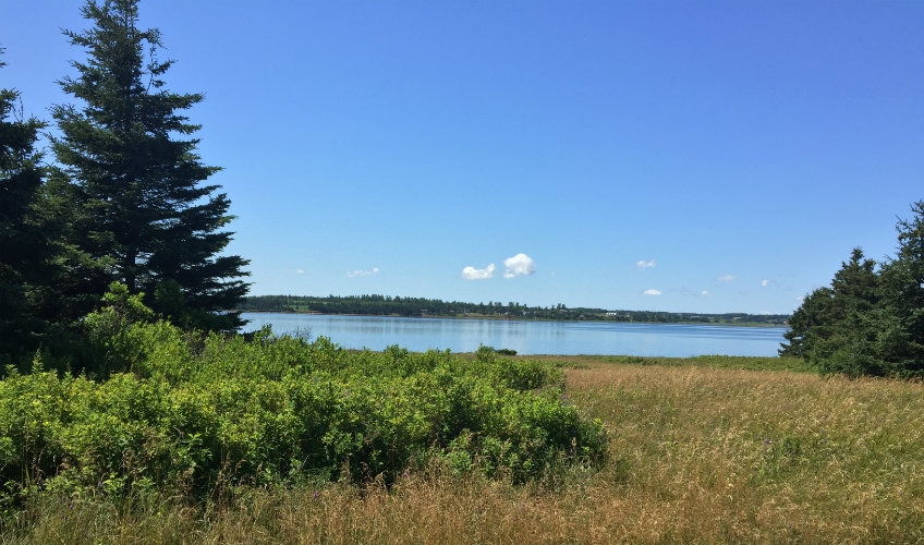 Waterview from Confederation Trail