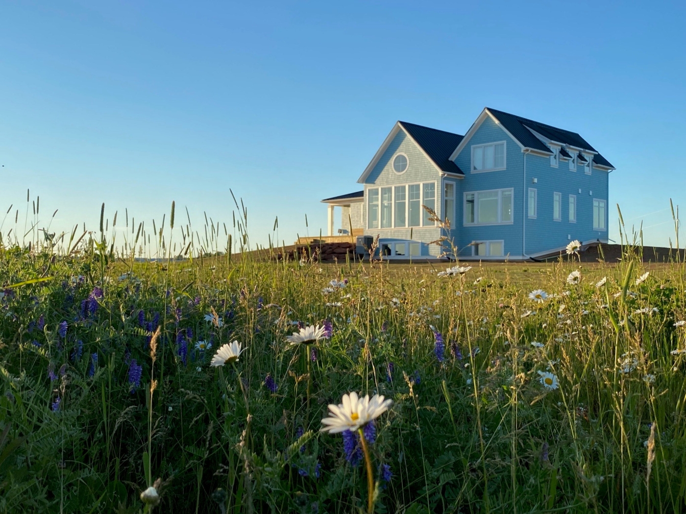 Beautiful large blue home in a field of wildflowers