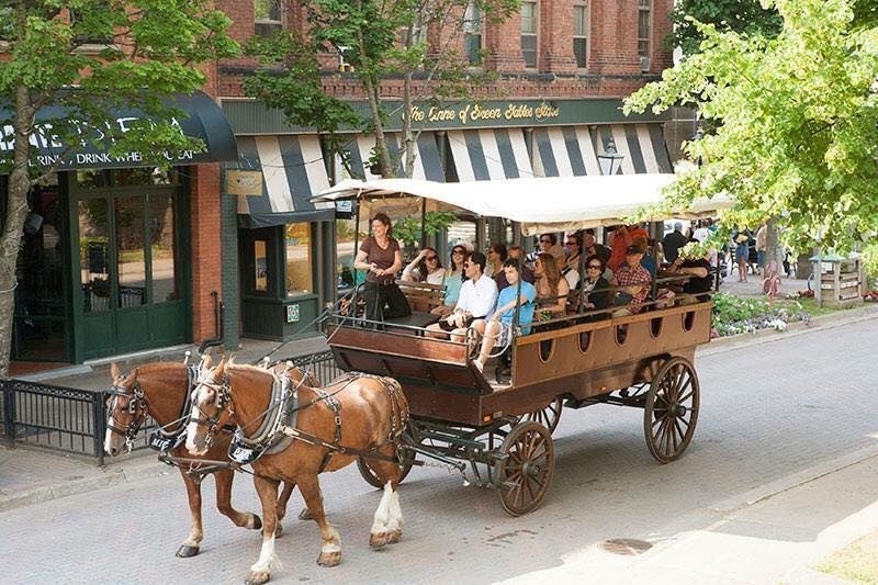 Horse and carriage tour with a wagon full of people touring downtown Charlottetown