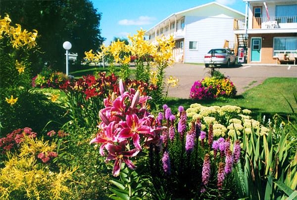 Outdoor grounds of Fair Isle Motel, flowers and lawn in front of two storey accommodations