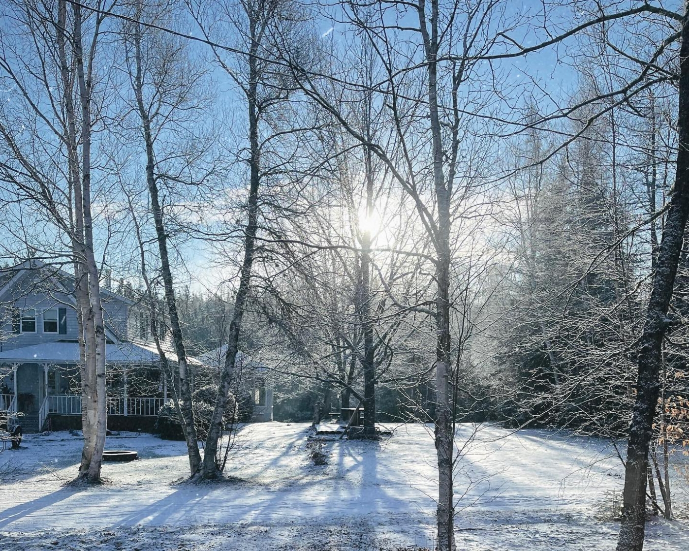Winter scene at Forest & Lake B&B