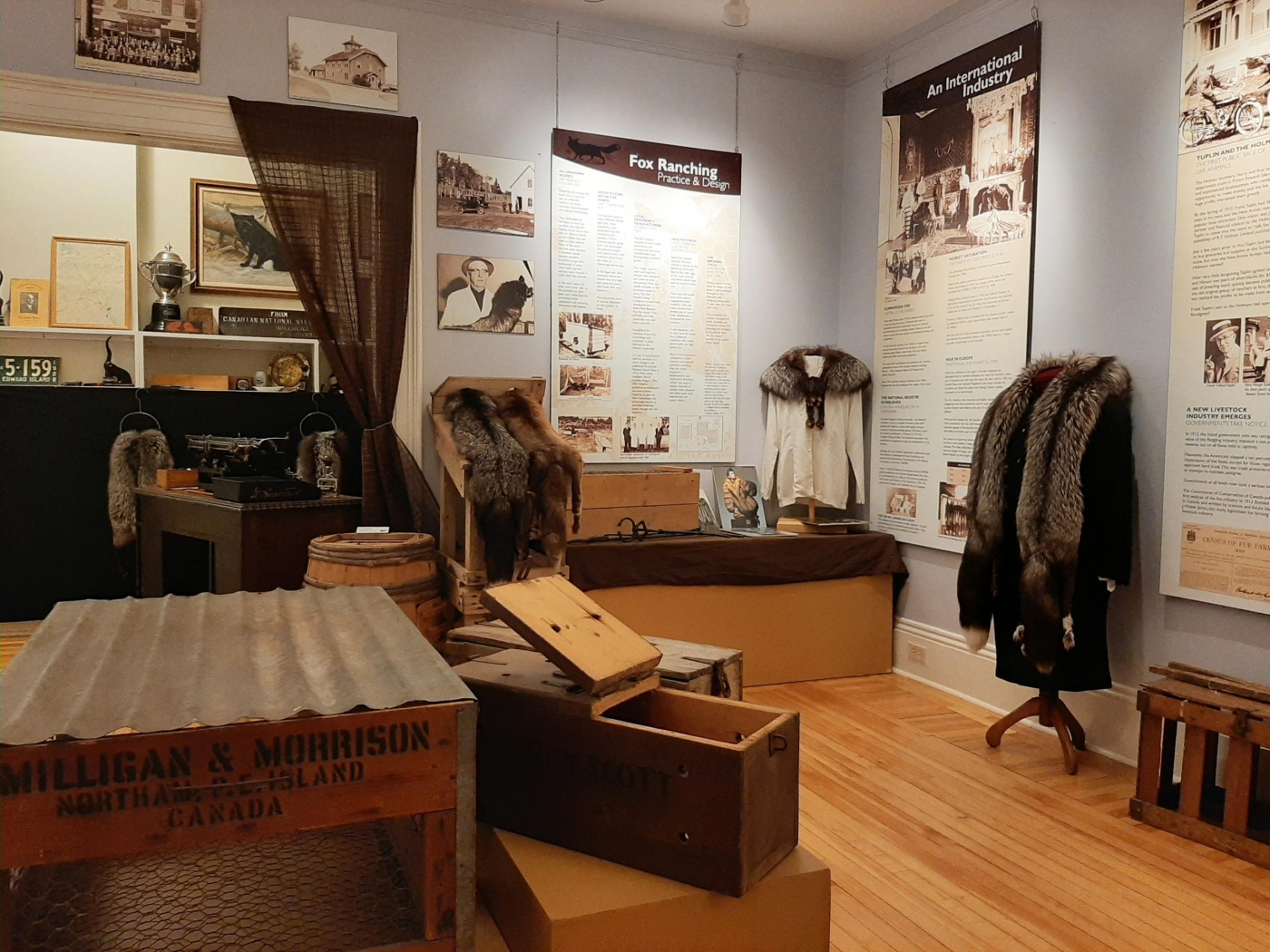 Fox Museum