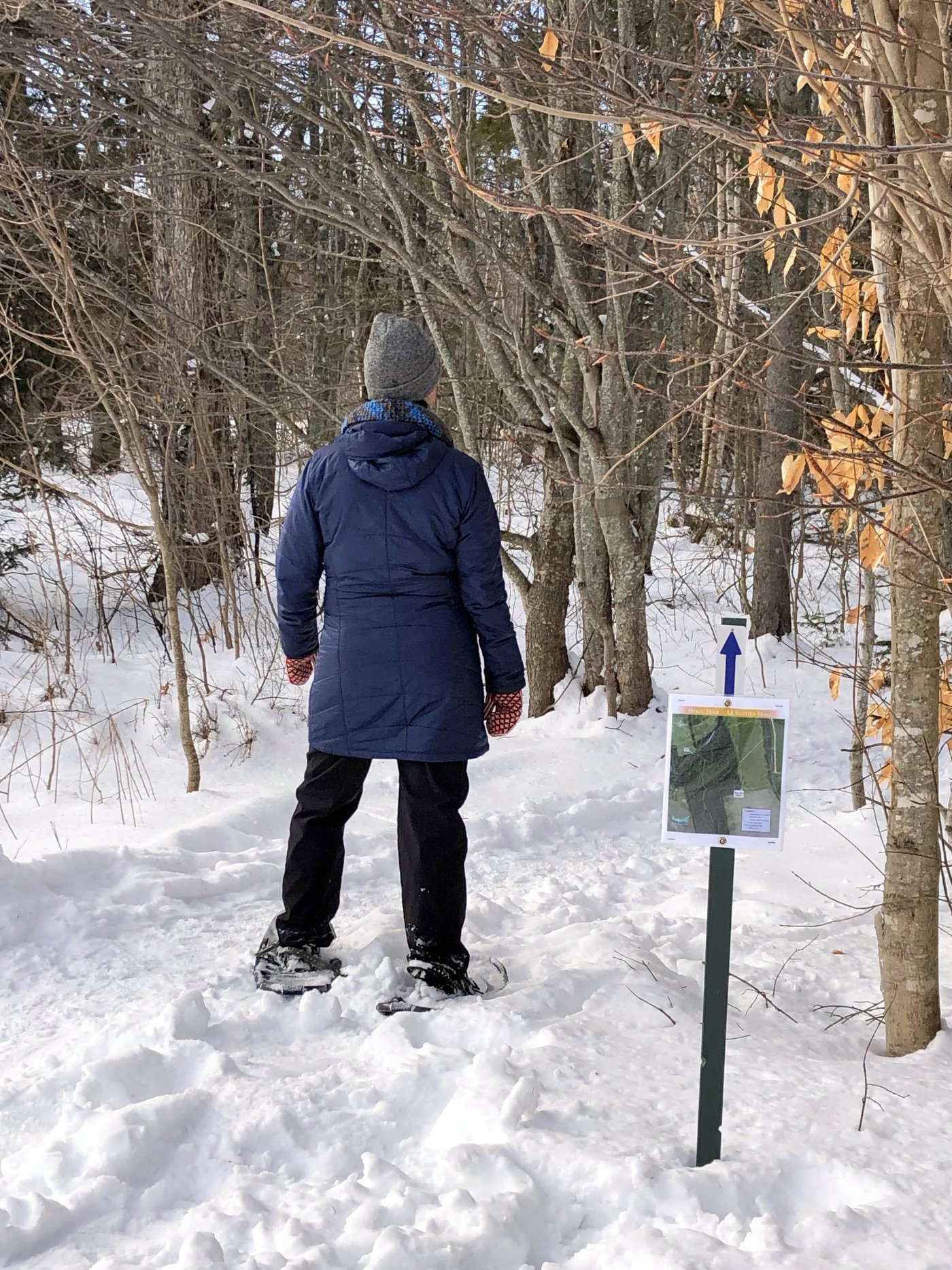 Individual entering winter trail on snowshoes, Kensington