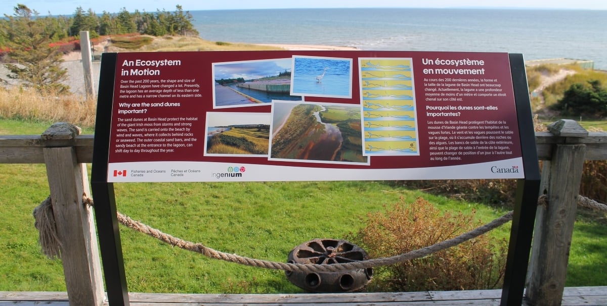 Outdoor interpretive panel titled "An Ecosystem in Motion" at Basin Head