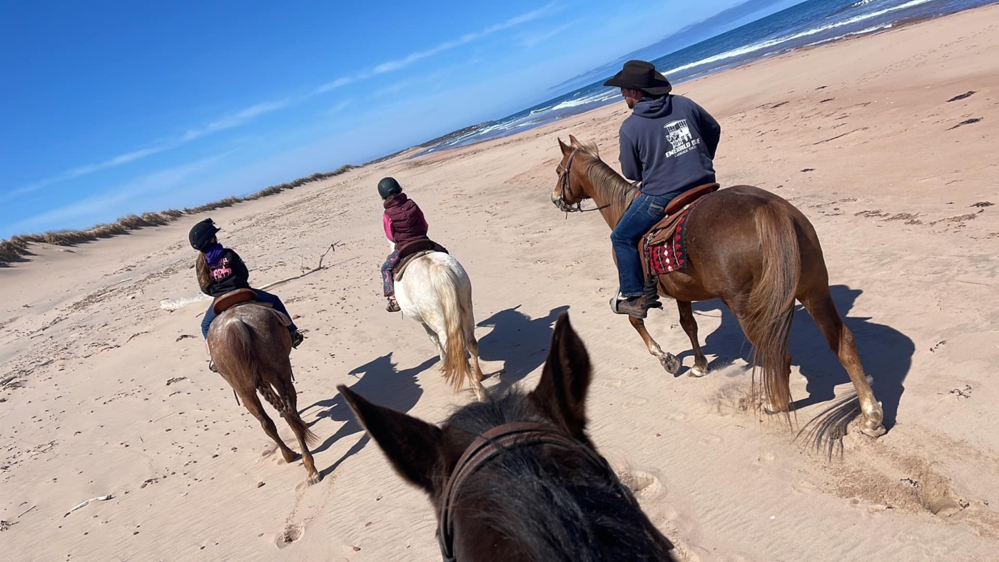 A group of horseback riders doing a trail ride on Lakeside Beach