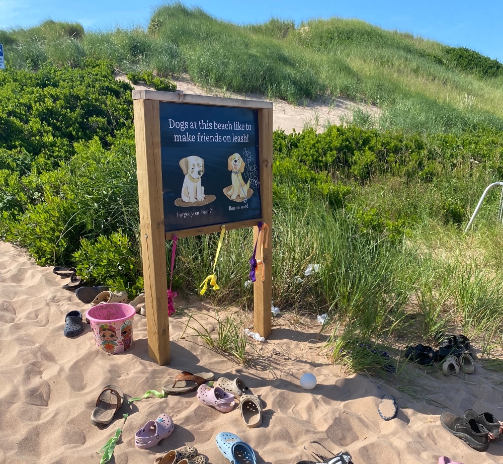 Sign with pet leashes and crocs at entrance to Lakeside Beach