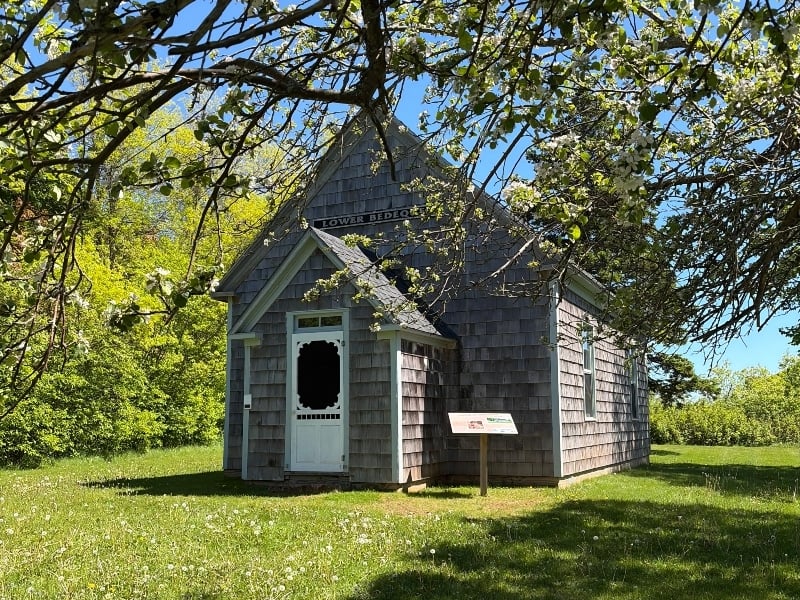 Exterior of Lower Bedque School in spring