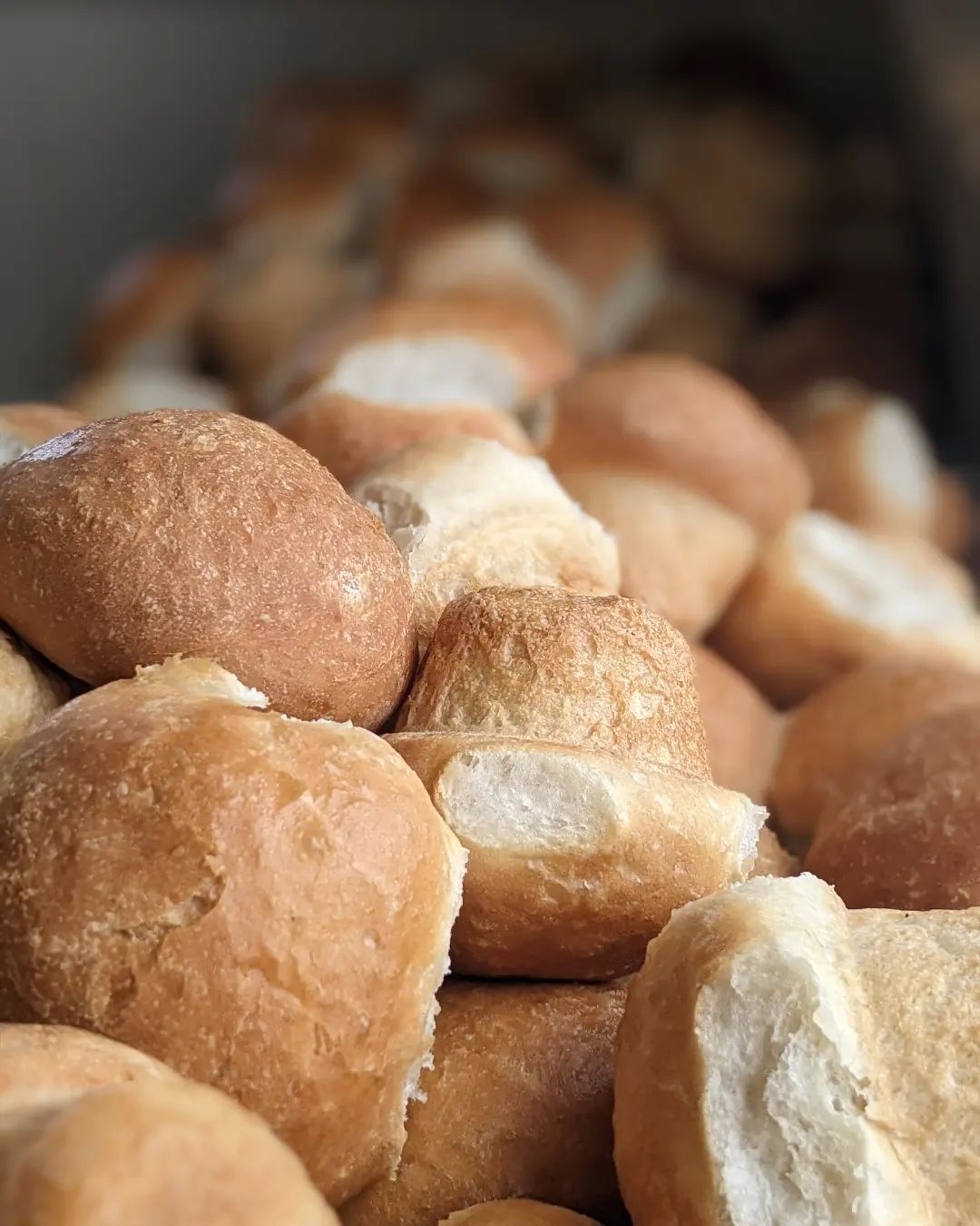 Olde Village Bakery, North Rustico White dinner rolls