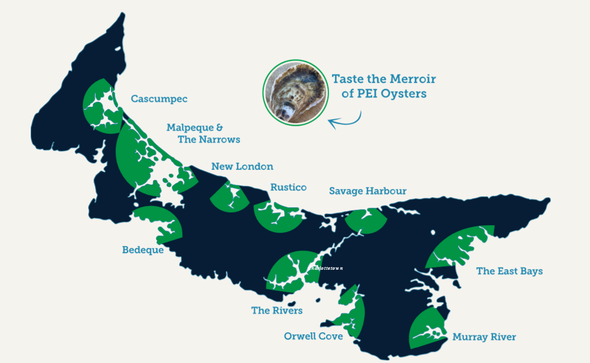 Graphic of Oyster Map outlined the merroir of PEI Oysters