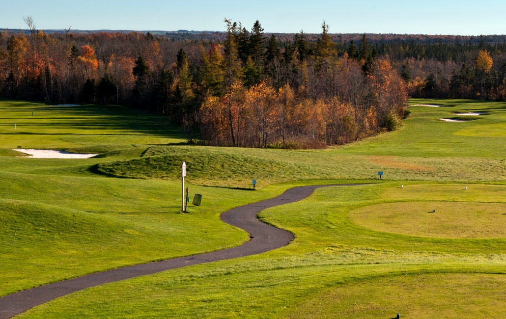 Fall picture of the greens and sandtraps with trees in background at the Avondale golf course