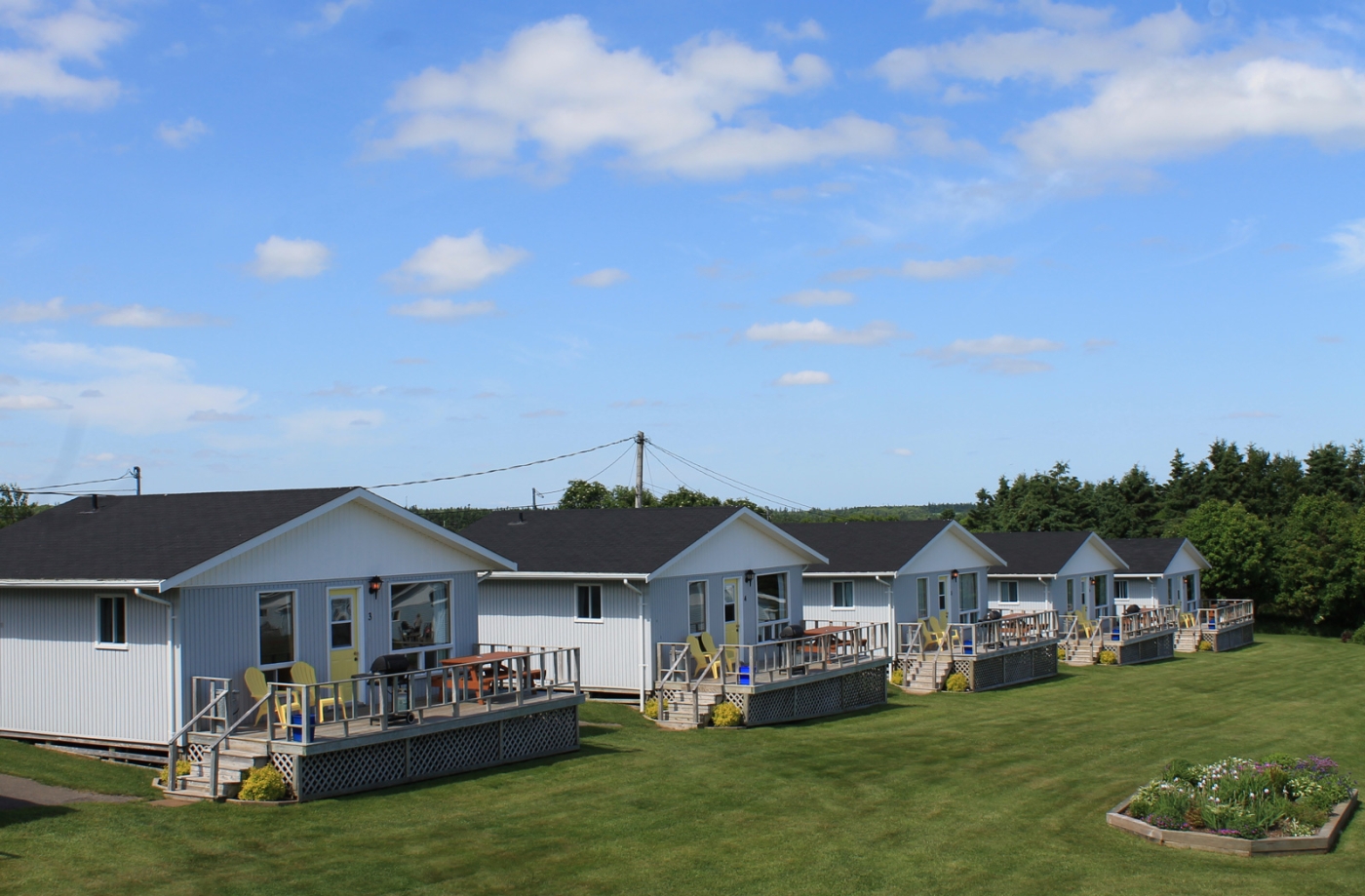 Cavendish Bosom Buddies five cottages in a row situate on the property of Cavendish Bosom Buddies