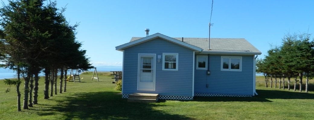Gerritsen's cottage Photo of rear view of blue cottage with porch