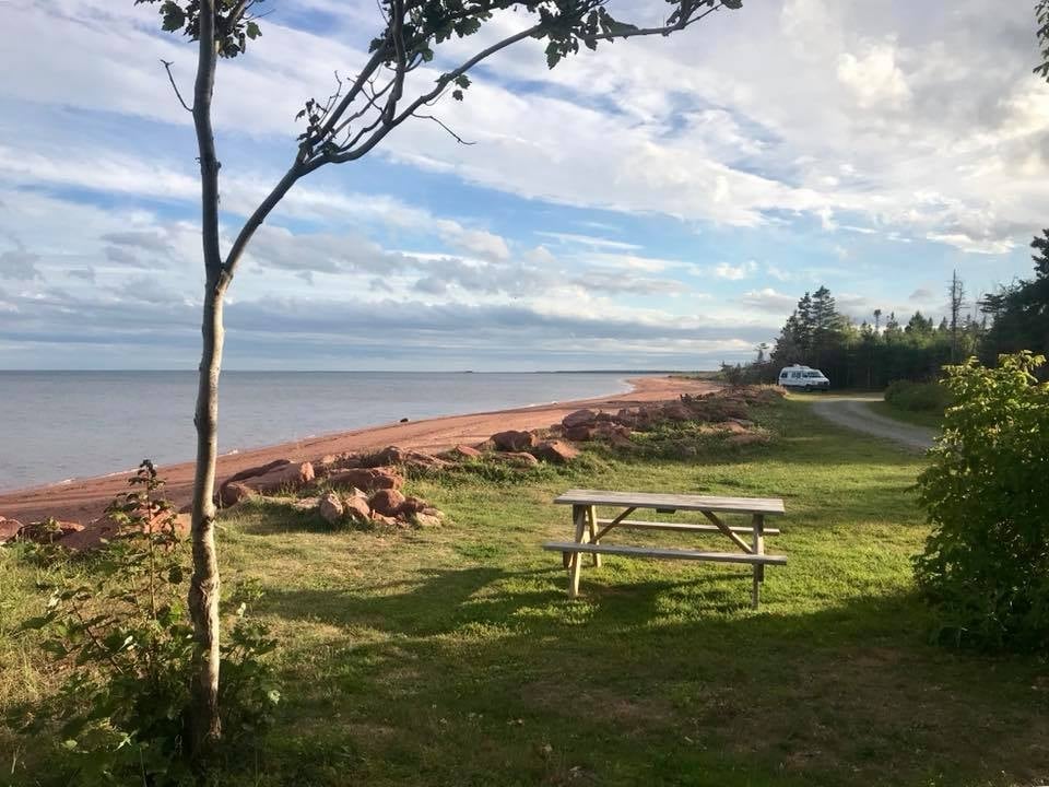 view of the shoreline with a picnic table and beach at Jacques Cartier Provincial Park
