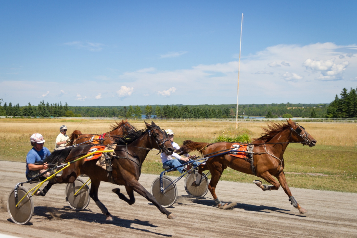 Harness Racing