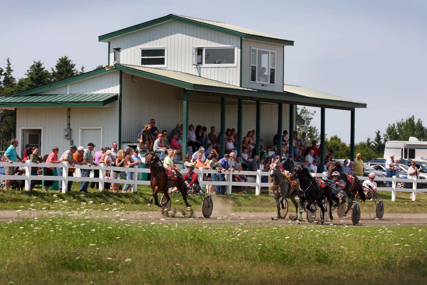 Pinette Harness Racing