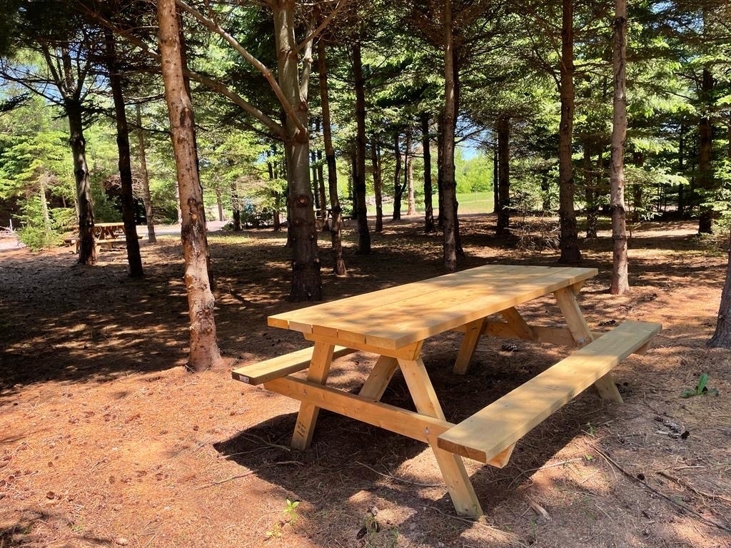 View of the sites at Red Fox Campground. Picnic table and trees 
