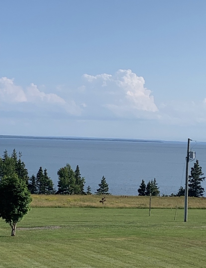 outside view overlooking the Northumberland strait, field trees and water.