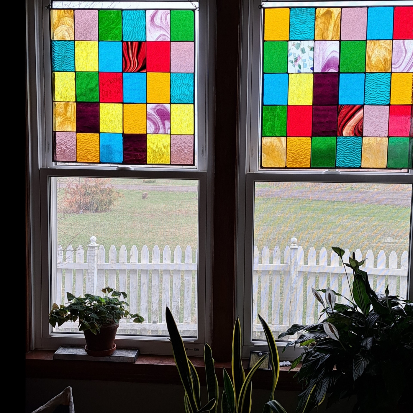 Photo of double windows looking outside. windows have top stain glass panels and plant in front of them