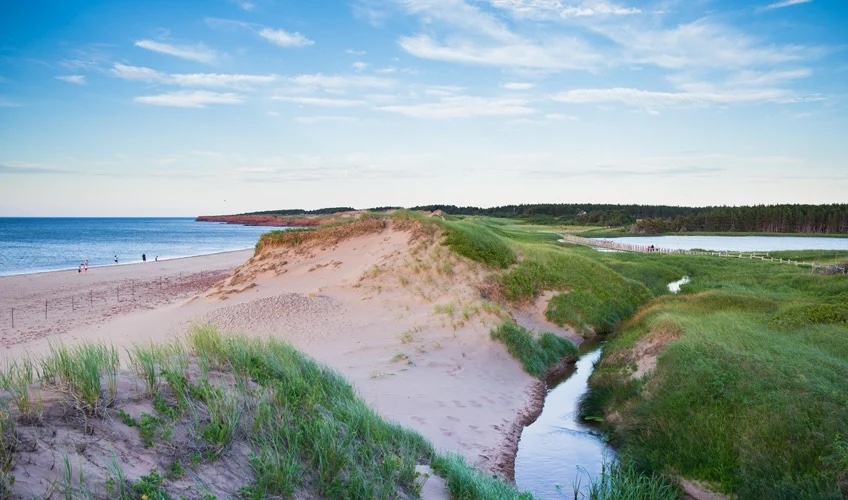 sand dunes 