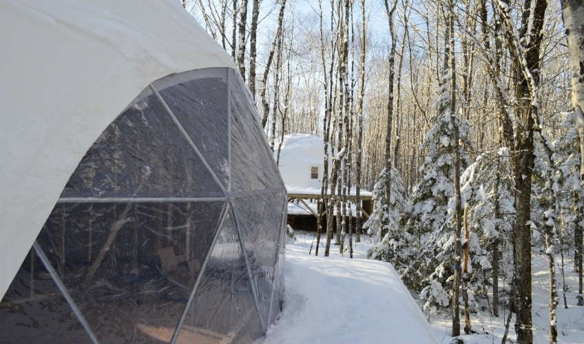 Exterior view of two domes at Treetop Haven in winter