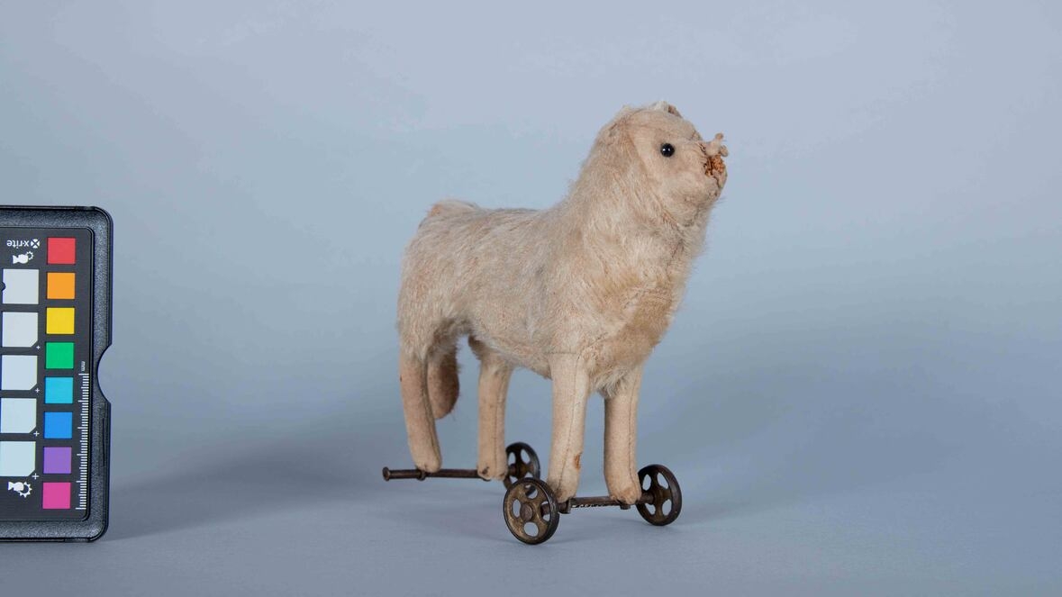 Wheelie, a disfigured stuffed dog on wheels, is an artifact of the PEI Museum & Heritage Foundation